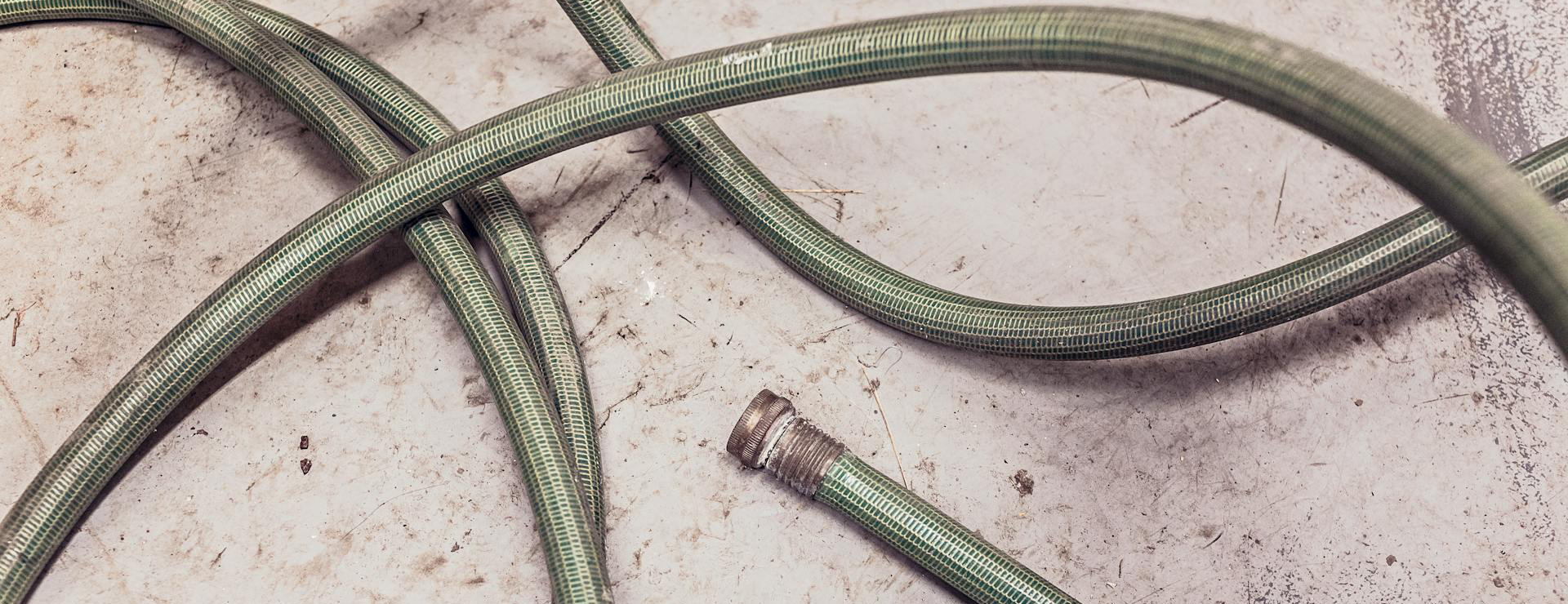 Irwin -Irwin pexels gratisography 556