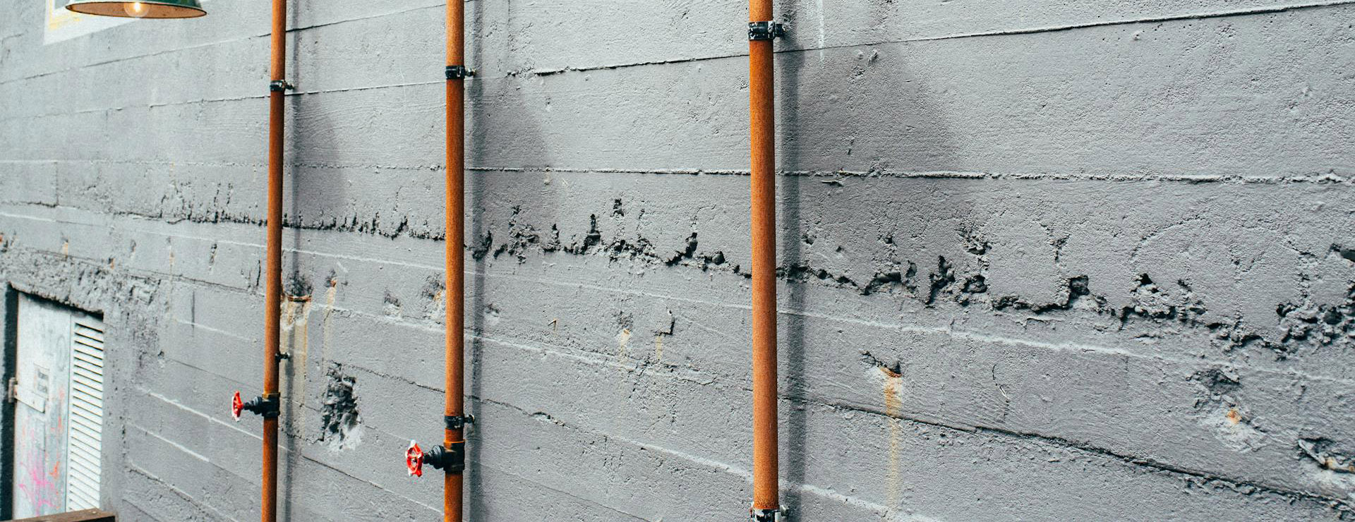 Irwin -Irwin pexels jaymantri 2918